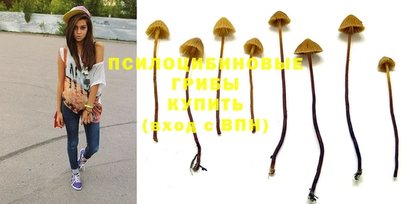 бошки Арсеньев