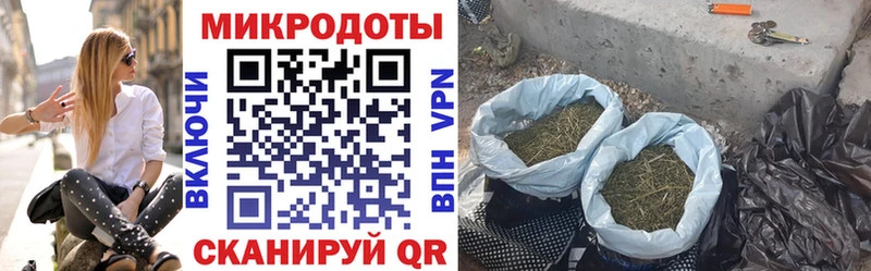 Галлюциногенные грибы прущие грибы купить наркоту Обоянь